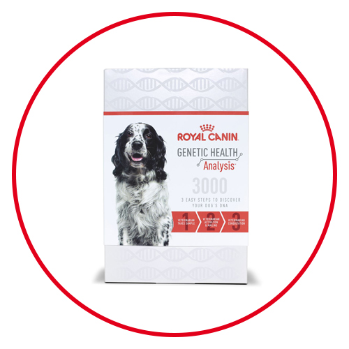 Royal canin critical outlet care diet